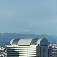 Fuji at breakfast